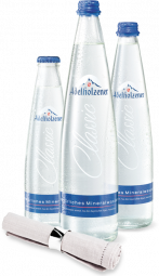 Adelholzener Gastro Naturell 20x0,25L